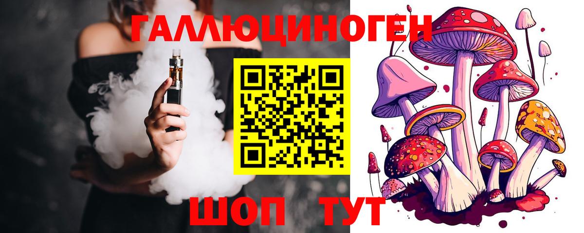 Псилоцибиновые грибы Cubensis Городец