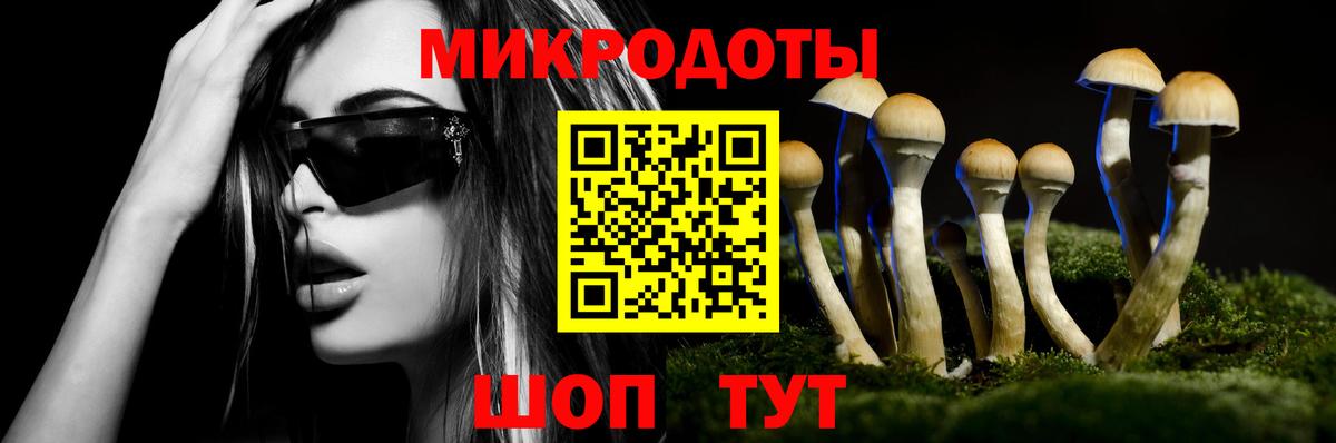 Городец  Галлюциногенные грибы мухоморы  Вход с VPN 